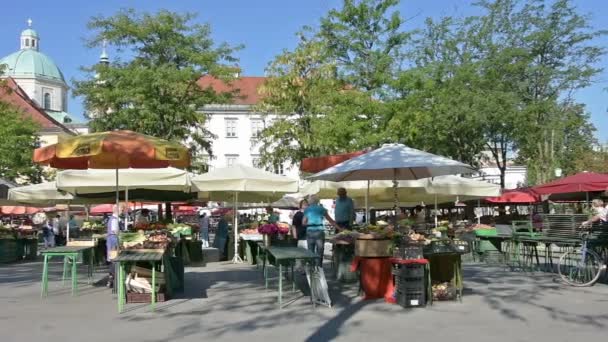 Ринок овочів в Любляна — стокове відео