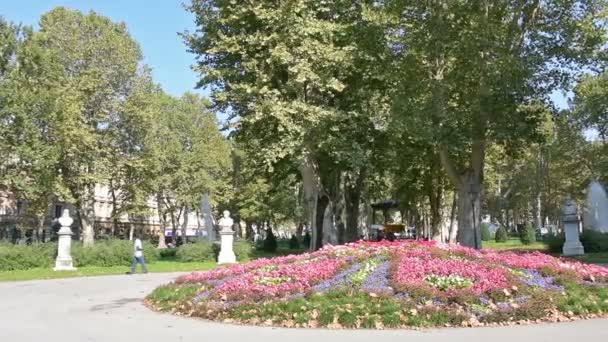Blommig blomsterrabatt i parken Zrinjevac — Stockvideo