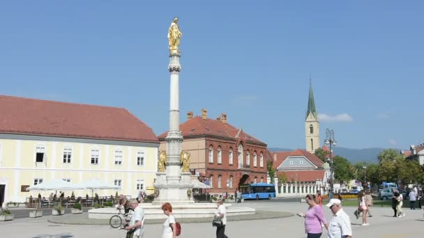 Heilige Maria monument — Stockvideo