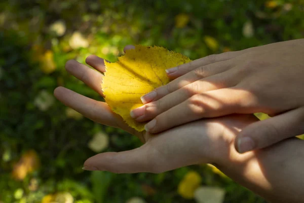 Löv Kvinnlig Hand Hösten — Stockfoto