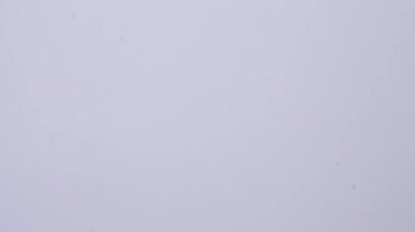 Renkli su damlaları aydınlık bir yüzeye iner.