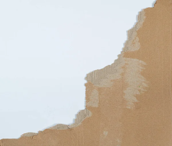 Piece Torn Cardboard White Surface — Stock Photo, Image