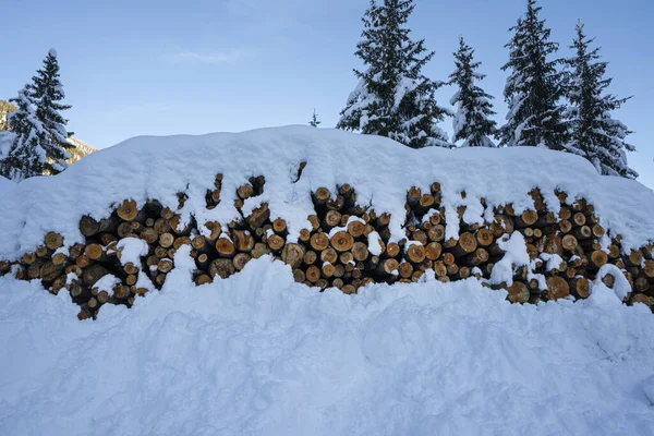 The piles of wooden logs covered with snow in winter — Stock Image Piles Wooden Logs Covered Snow Winter Royalty Free Stock Photos