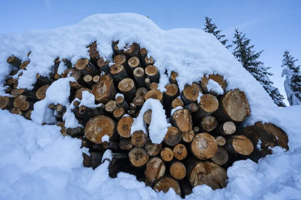 The piles of wooden logs covered with snow in winter — Stock Image Piles Wooden Logs Covered Snow Winter Stock Image