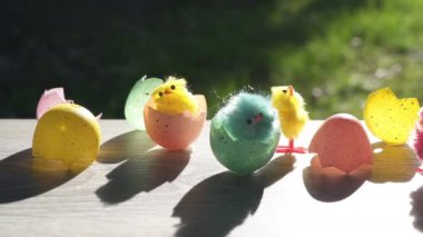 Paskalya zamanı! Yumurtaların ve civcivlerin yumurtadan çıkışının kavramsal videosu.