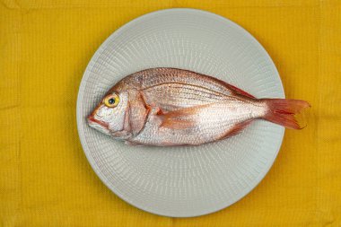 Tabaktaki kırmızı levrek balığı (Dentex dentex)