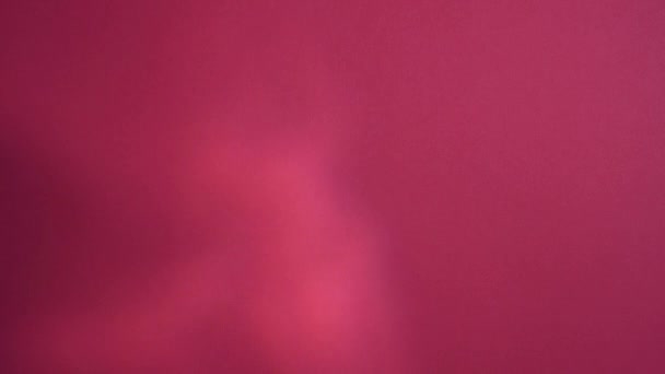 Ein Flackerndes Licht Auf Einer Rosa Oberfläche — Stockvideo