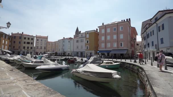 Muggia Itália Junho 2021 Pequeno Porto Turístico Centro Histórico Cidade — Vídeo de Stock