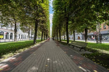 Riga, Letonya. 22 Ağustos 2021. Şehir merkezindeki bir caddenin ortasında ağaçlarla kaplı bir cadde.