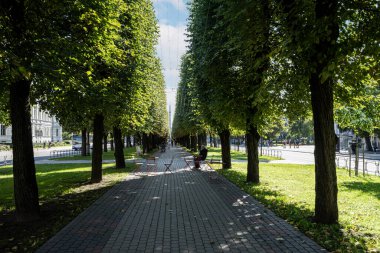 Riga, Letonya. 22 Ağustos 2021. Şehir merkezindeki bir caddenin ortasında ağaçlarla kaplı bir cadde.
