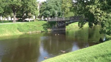 Riga, Letonya. Ağustos 2021. Şehir merkezindeki gölette ördekler var.