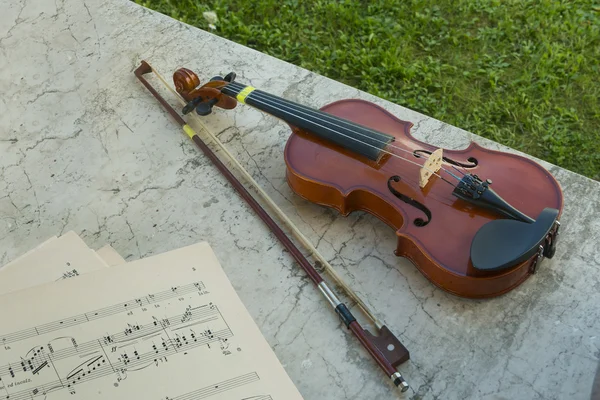 Violin — Stock Photo, Image