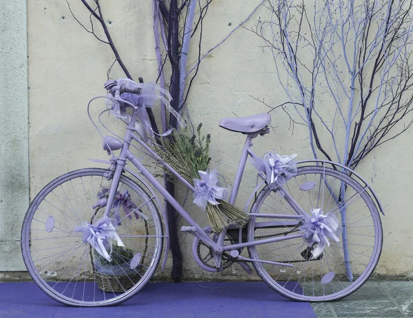 Lila-Fahrrad — Stockfoto