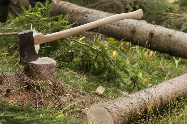 Lumberjack — Stock Photo, Image