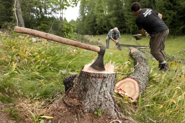 Cortador de madera en el trabajo en el bosque — Foto de Stock