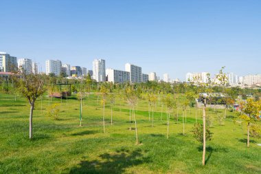 Bakü, Azerbaycan. 10 Ekim 2025. Bakü Yeni Central Park 'ın şehir merkezindeki panoramik manzarası.