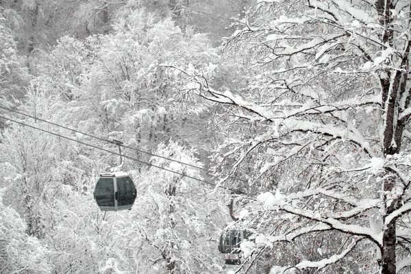 Winterwald Und Seilbahnen Des Skigebiets Der Verschneite Waldhintergrund Wintertourismus Und — Stockfoto