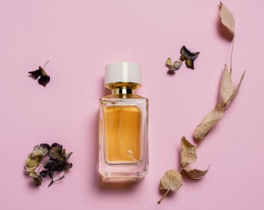 Kurumuş ortanca çiçekleri, okaliptüs, dal ve parfüm şişesiyle pastel bir arka planda üst görünüm kompozisyonu.