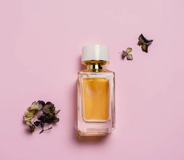 Composição Vista Superior Com Flores Hortênsia Secas Frasco Perfume Fundo — Fotografia de Stock