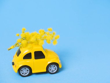 Mimoza çiçekleri mavisi arka planda şirin bahar minimumu sarı oyuncak. Şenlikli bahar kartı