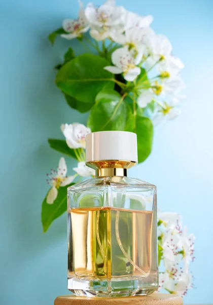 Embalagem Vidro Transparente Garrafa Perfume Fragrância Fresca Caro Fundo Árvore — Fotografia de Stock