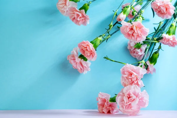 Růžové Karafiáty Modrém Pozadí Abstraktní Květinové Pozadí — Stock fotografie