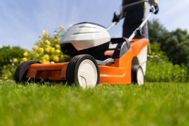 Bir kadın bahçıvan çim biçme makinesiyle çimleri buduyor.