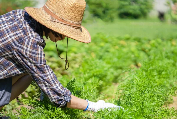 Uma jovem em um chapéu de palha está envolvida em trabalho de jardinagem. — Fotografia de Stock