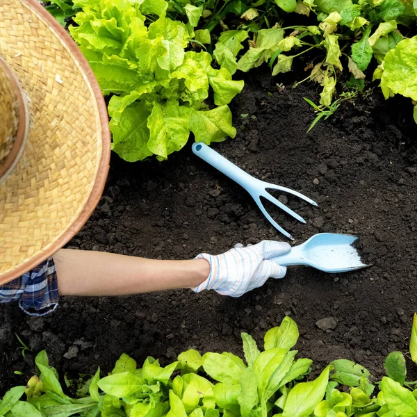 Uma jovem em um chapéu de palha e luvas prepara o solo no jardim . — Fotografia de Stock