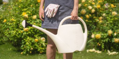 Önlüğü ve iş eldivenleri olan bir bahçıvan çiçek sulama kabı tutar..