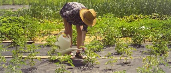 Wanita itu terlibat dalam pertanian dan berkebun. — Stok Foto