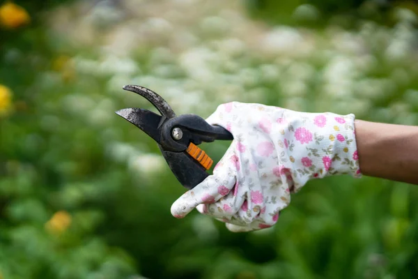 Uma mão feminina em luvas com um padrão floral segura uma poda — Fotografia de Stock