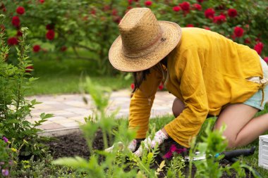 Hasır şapkalı genç bir kız bahçe işleriyle meşgul..