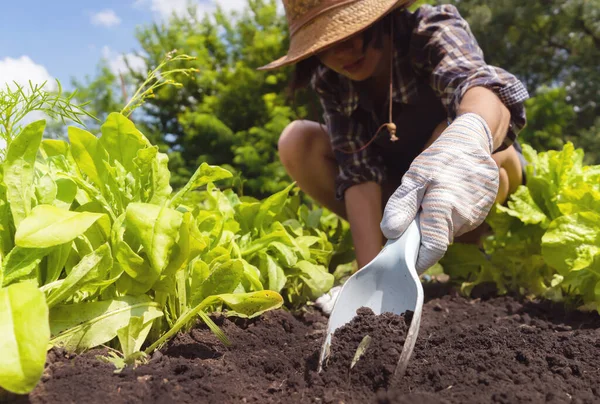A young girl in gloves prepares the soil in the garden for planting seedlings. — Stock Photo, Image