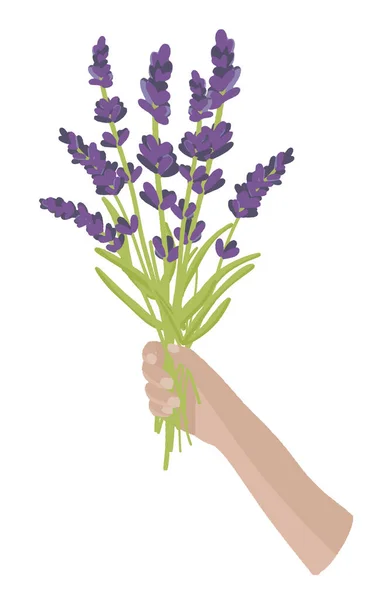 Ramo de lavanda elegante, ramo de lavanda, flores secas, color lila, fondo aislado, ilustración vectorial — Vector de stock