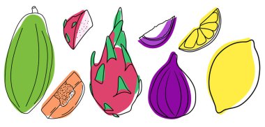 Egzotik meyve koleksiyonu, tropikal yaz meyveleri.