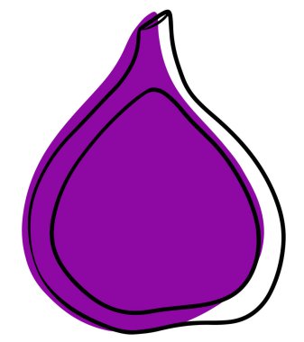 Ağ. Vektör karikatür elementleri, egzotik meyve, yaz meyvesi, incir ikonu, vektör inciri, mor renk, tasarım illüstrasyonu.