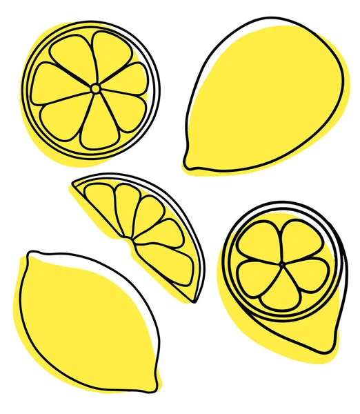 Collection of exotic lemon fruit — Stock Vector