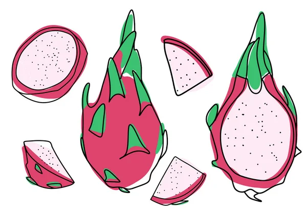 Collection of exotic pitahaya fruits — Stock Vector