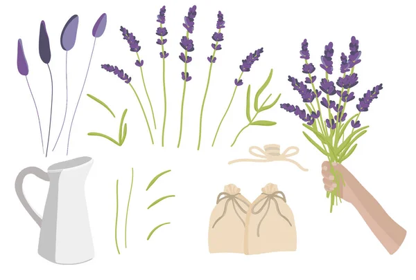 Elegante juego de lavanda, colección ramo de lavanda — Vector de stock