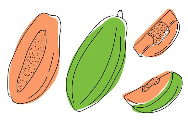 Collection of exotic papaya fruits — Stock Vector