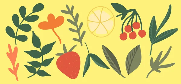 Collection of tea herbs, a set of medicinal herbs, fruit and berry additives for tea, grass, twigs, green tea leaves, lemon, rowan, strawberry, yellow background, bright illustration, hand drawing — 스톡 벡터