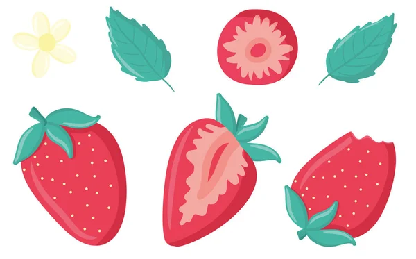 Sammlung saftiger Erdbeeren, ganzer und gebissener Erdbeeren, einer Reihe von Sommerbeeren, einer Blume und Blättern, einer niedlichen Cartoon-Illustration, Designelementen, Papeterie, Aufklebern — Stockvektor