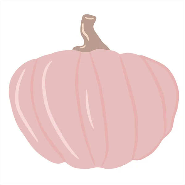 Calabaza de colores lindos, calabaza inusual, una sola ilustración sobre un fondo blanco aislado, calabaza de otoño, verduras de otoño. Ilustración de dibujos animados, diseño moderno. Calabaza de Halloween. Vector, impresión — Archivo Imágenes Vectoriales