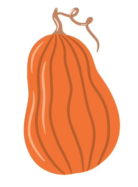 Carina zucca colorata, zucca insolita, illustrazione singola su uno sfondo bianco isolato, zucca autunnale, verdura autunnale. Illustrazione cartone animato, design moderno. Zucca di Halloween. Vettore, stampa — Vettoriale Stock