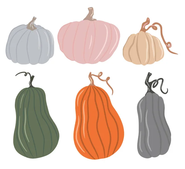 Coleção de abóboras coloridas bonitos, tons delicados de abóbora, fundo branco isolado, conjunto de abóbora de outono, vegetal de outono. Desenhos animados ilustração, design moderno. Abóbora de Halloween. Vetor —  Vetores de Stock