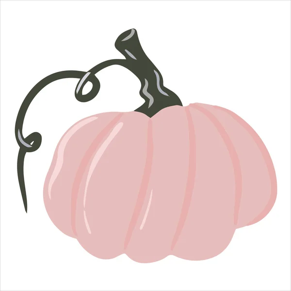 Carina zucca colorata, zucca insolita, illustrazione singola su uno sfondo bianco isolato, zucca autunnale, verdura autunnale. Illustrazione cartone animato, design moderno. Zucca di Halloween. Vettore, stampa — Vettoriale Stock