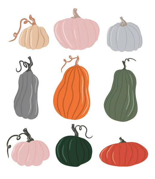 Kollektion av söta färgade pumpor, fina nyanser av pumpa, isolerad vit bakgrund, uppsättning höst pumpa, höst grönsaker. Tecknad illustration, modern design. Halloween-pumpa. Vektor — Stock vektor