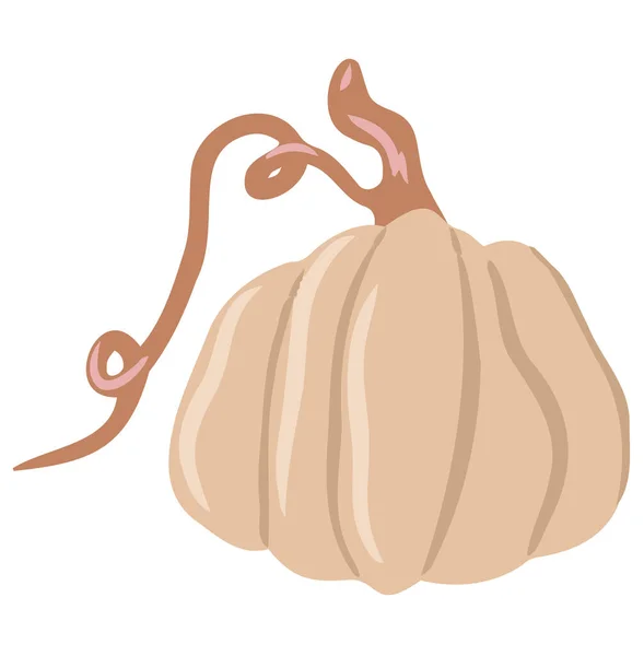 Söt färgad pumpa, ovanlig pumpa, enda illustration på en isolerad vit bakgrund, höst pumpa, höst grönsaker. Tecknad illustration, modern design. Halloween-pumpa. Vektor, tryck — Stock vektor