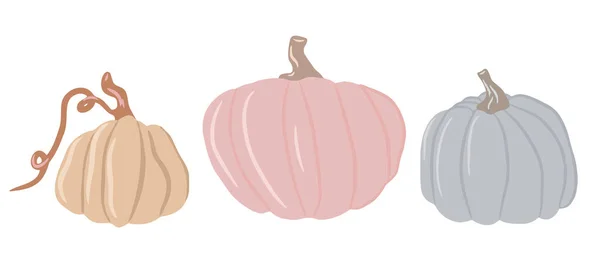 Kollektion av söta färgade pumpor, fina nyanser av pumpa, isolerad vit bakgrund, uppsättning höst pumpa, höst grönsaker. Tecknad illustration, modern design. Halloween-pumpa. Vektor — Stock vektor